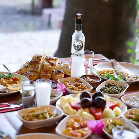 Murat Pasha Mansion (adults Only) 3* Dalyan