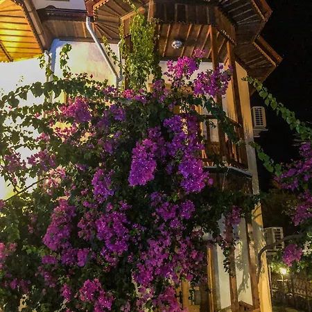 호텔 Murat Pasha Mansion (adults Only) 달리안