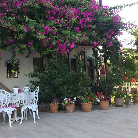 Murat Pasha Mansion (adults Only) ホテル ダルヤン