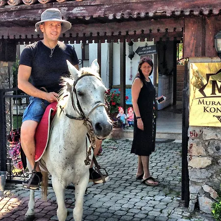 Murat Pasha Mansion (adults Only) Dalyan