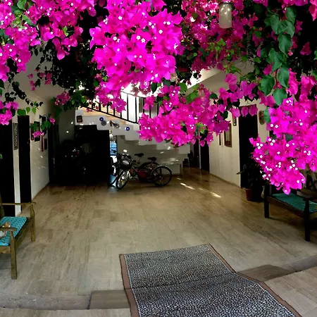 Murat Pasha Mansion (adults Only) 호텔