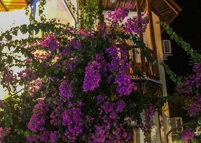 Szálloda Murat Pasha Mansion (adults Only) Dalyan